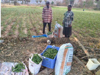 Activities in Karagudem — APC Regalla village Karakagudem